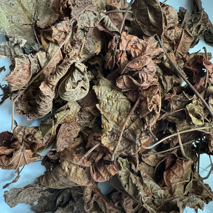 FEUILLES DE DJEKA