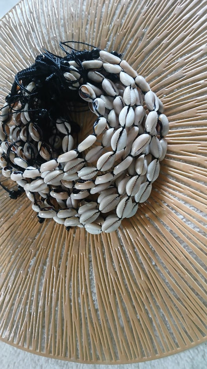 Colliers, Coquillage Cauris